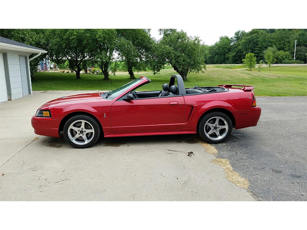 2001 Ford Mustang Cobra for Sale | ClassicCars.com | CC-879406