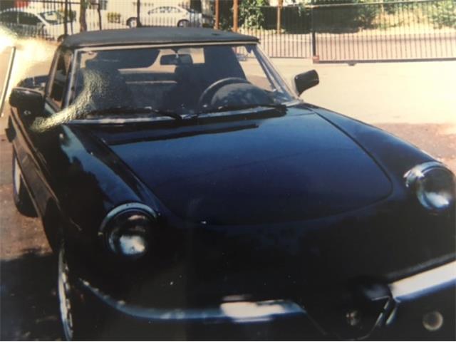 1987 Alfa Romeo Spider (CC-881529) for sale in Reno, Nevada