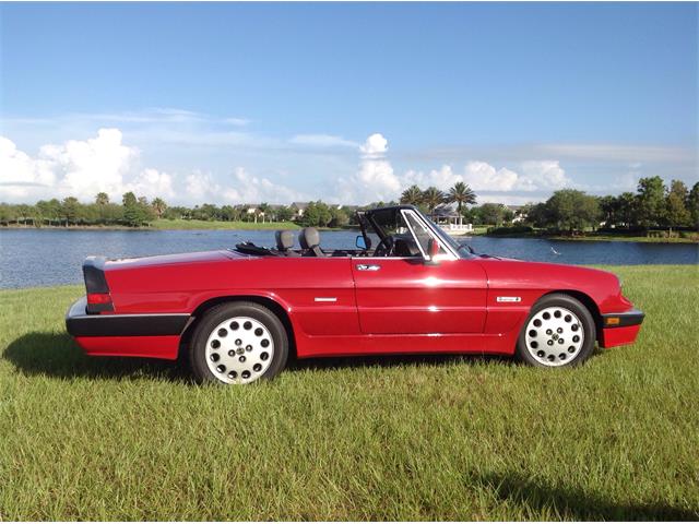 1986 Alfa Romeo Spider Quadrifoglio (CC-881729) for sale in Port St. Lucie, Florida
