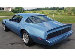 1981 Pontiac Firebird Trans Am (CC-882041) for sale in Harrisburg, Pennsylvania