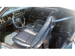 1981 Pontiac Firebird Trans Am (CC-882041) for sale in Harrisburg, Pennsylvania