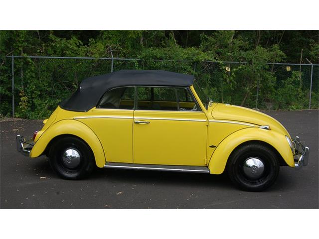1965 Volkswagen Beetle (CC-882049) for sale in Harrisburg, Pennsylvania