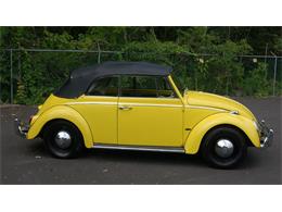 1965 Volkswagen Beetle (CC-882049) for sale in Harrisburg, Pennsylvania