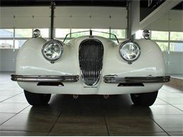 1952 Jaguar XK (CC-882459) for sale in St. Charles, Illinois