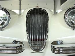 1952 Jaguar XK (CC-882459) for sale in St. Charles, Illinois