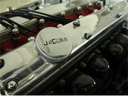 1952 Jaguar XK (CC-882459) for sale in St. Charles, Illinois