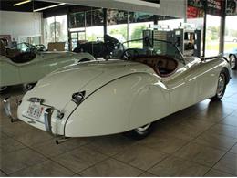 1952 Jaguar XK (CC-882459) for sale in St. Charles, Illinois