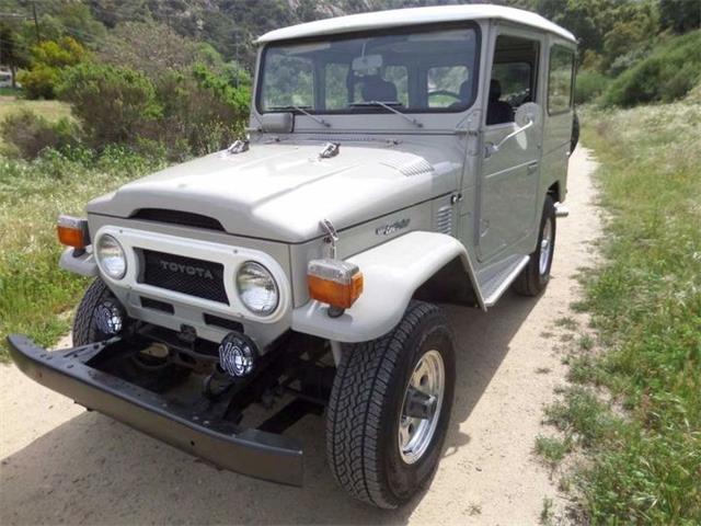 1976 Toyota Land Cruiser FJ (CC-882923) for sale in No city, No state