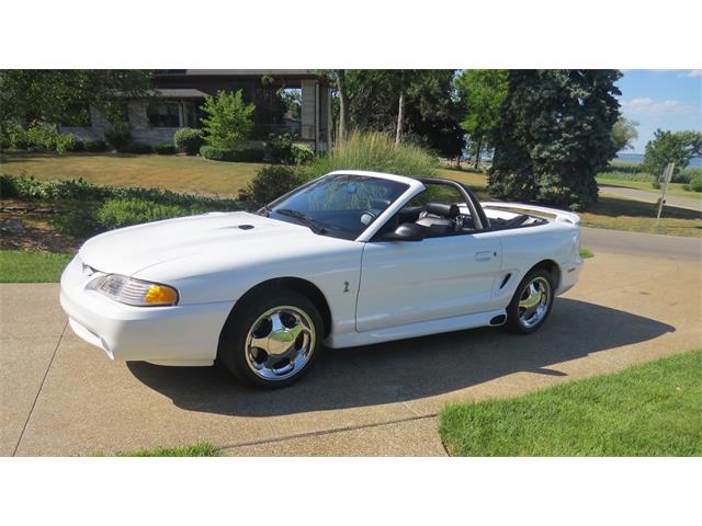 1997 Ford Mustang Cobra (CC-883895) for sale in Grosse Ile, Michigan