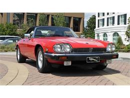 1989 Jaguar XJS (CC-884135) for sale in Brentwood, Tennessee