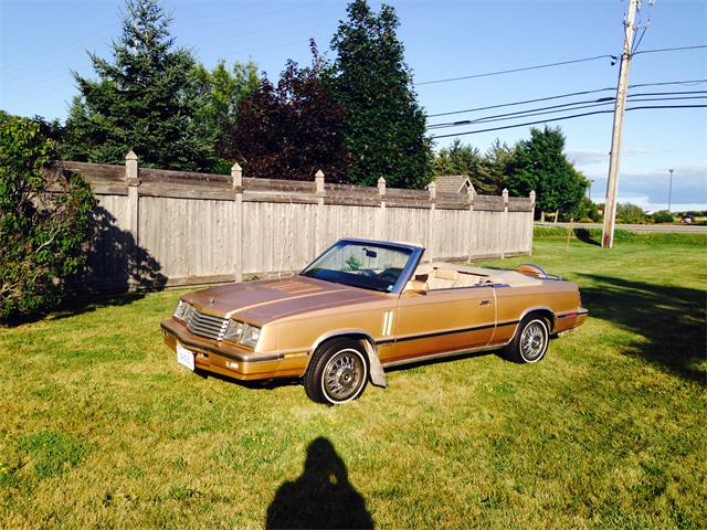 1984 Dodge 600 Series (CC-884923) for sale in Kingston, Ontario