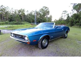 1971 Ford Mustang (CC-886374) for sale in Orlando, Florida