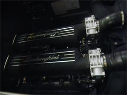 2005 Lamborghini Gallardo (CC-886457) for sale in Arvada, Colorado