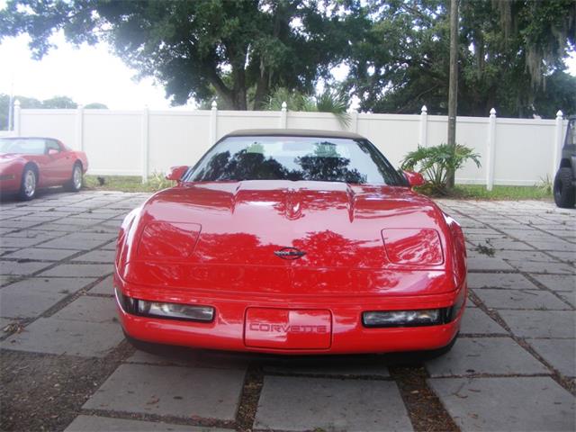 1995 Chevrolet Corvette (CC-886513) for sale in Largo, Florida
