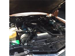 1980 Cadillac Eldorado Biarritz (CC-887271) for sale in Glen Mills, Pennsylvania