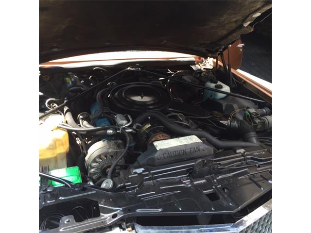 1980 Cadillac Eldorado Biarritz (CC-887271) for sale in Glen Mills, Pennsylvania