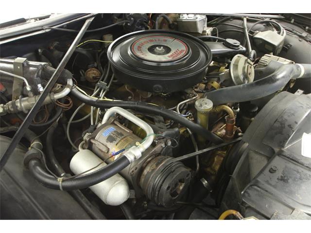 1973 Oldsmobile Delta 88 Convertible (CC-887871) for sale in Lutz, Florida
