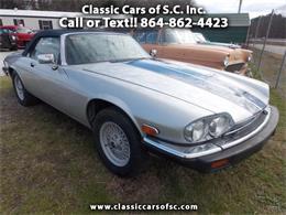 1989 Jaguar XJS (CC-888601) for sale in Gray Court, South Carolina