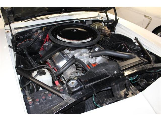 1972 Ford Bronco (CC-889401) for sale in Scottsdale, Arizona