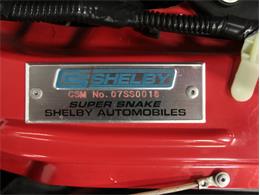 2007 Ford Mustang Shelby GT500 Super Snake (CC-891019) for sale in Lithia Springs, Georgia