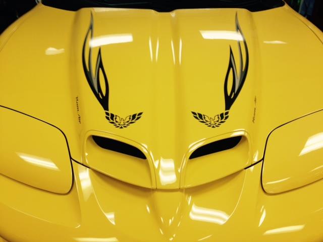 2002 Pontiac Firebird Trans Am  WS6, COLLECTOR EDITION (CC-891392) for sale in CHAPIN, South Carolina