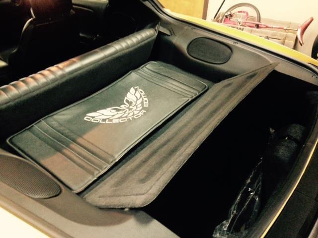 2002 Pontiac Firebird Trans Am  WS6, COLLECTOR EDITION (CC-891392) for sale in CHAPIN, South Carolina