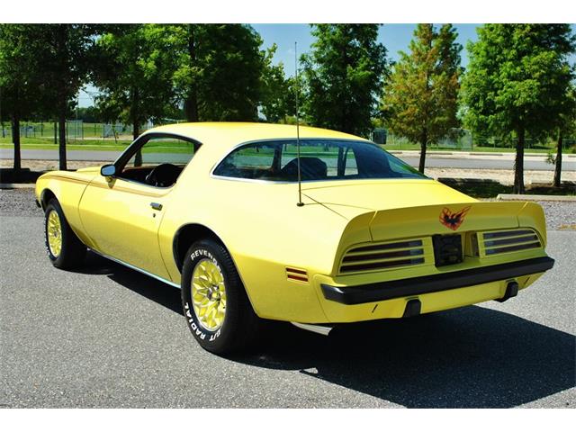 1975 Pontiac Firebird (CC-890143) for sale in Lakeland, Florida