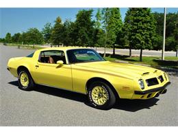 1975 Pontiac Firebird (CC-890143) for sale in Lakeland, Florida