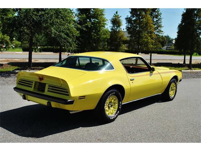 1975 Pontiac Firebird (CC-890143) for sale in Lakeland, Florida