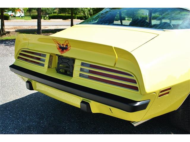 1975 Pontiac Firebird (CC-890143) for sale in Lakeland, Florida