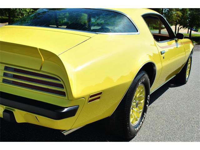 1975 Pontiac Firebird (CC-890143) for sale in Lakeland, Florida