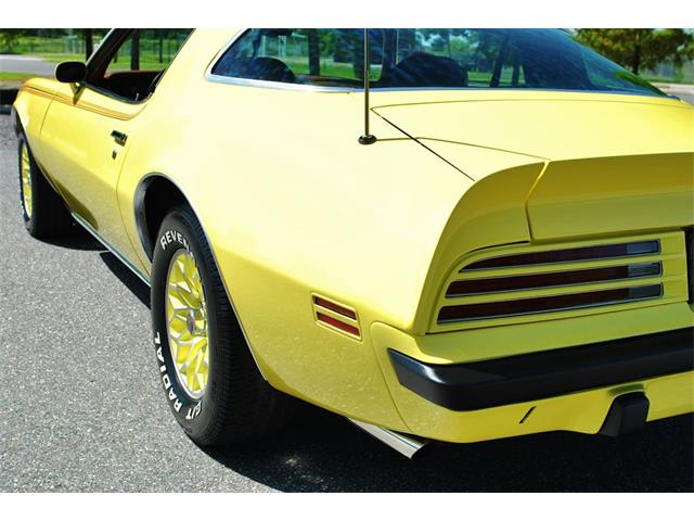 1975 Pontiac Firebird (CC-890143) for sale in Lakeland, Florida