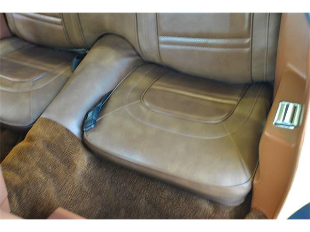 1975 Pontiac Firebird (CC-890143) for sale in Lakeland, Florida