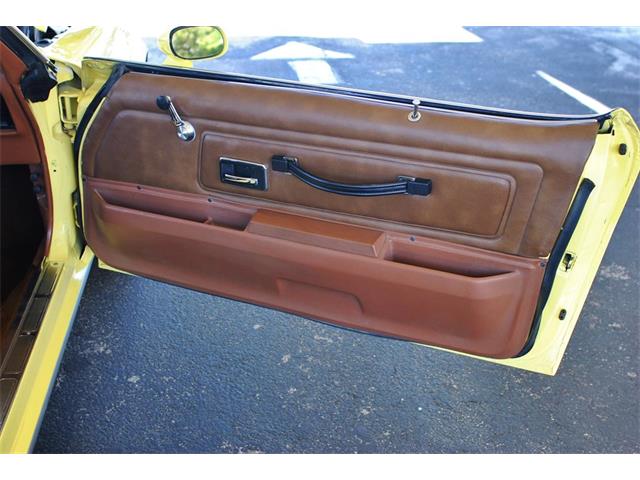 1975 Pontiac Firebird (CC-890143) for sale in Lakeland, Florida