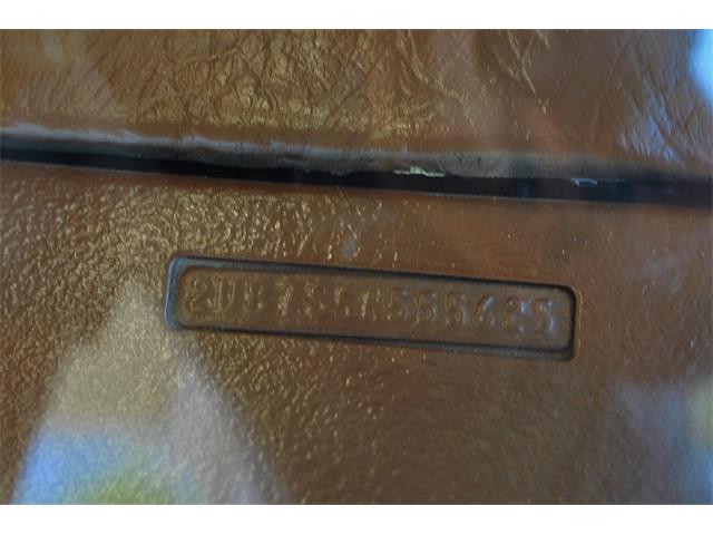 1975 Pontiac Firebird (CC-890143) for sale in Lakeland, Florida