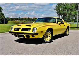 1975 Pontiac Firebird (CC-890143) for sale in Lakeland, Florida