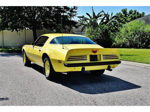 1975 Pontiac Firebird (CC-890143) for sale in Lakeland, Florida