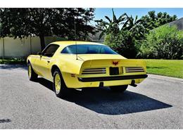 1975 Pontiac Firebird (CC-890143) for sale in Lakeland, Florida