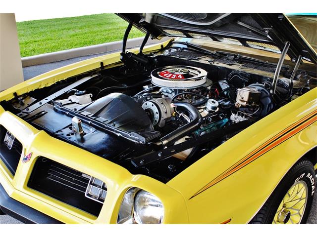 1975 Pontiac Firebird (CC-890143) for sale in Lakeland, Florida
