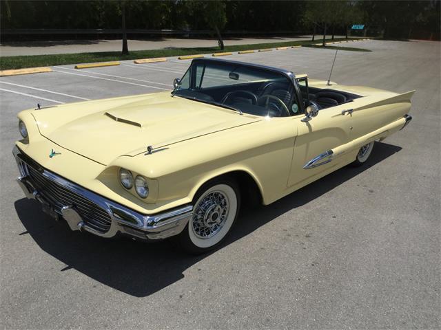 1959 Ford Thunderbird (CC-891891) for sale in Coral Springs, Florida