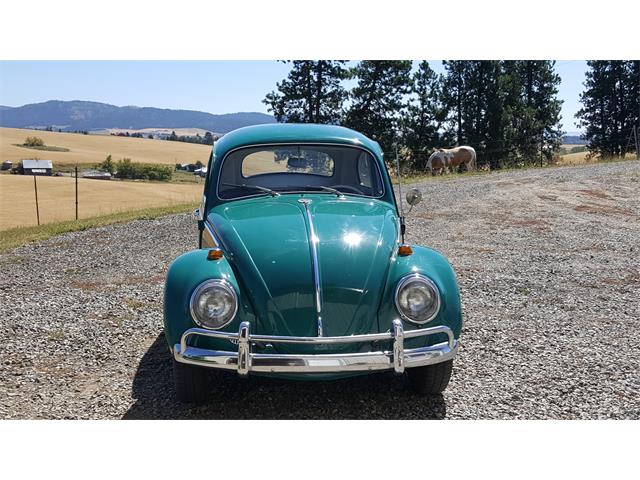 1964 Volkswagen Beetle (CC-892245) for sale in Spokane, Washington