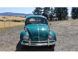 1964 Volkswagen Beetle (CC-892245) for sale in Spokane, Washington