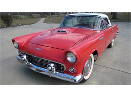 1956 Ford Thunderbird (CC-892316) for sale in Louisville, Kentucky