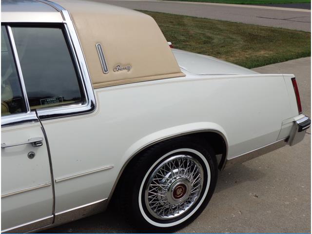 1982 Cadillac Eldorado Biarritz (CC-892457) for sale in Farmington Hills, Michigan