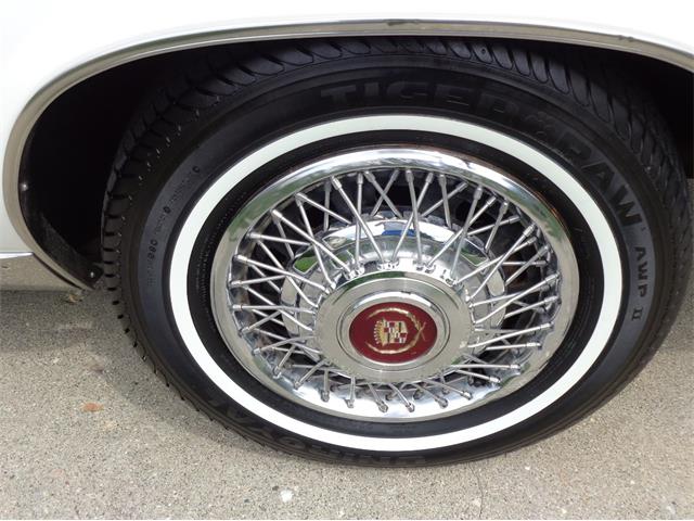 1982 Cadillac Eldorado Biarritz (CC-892457) for sale in Farmington Hills, Michigan