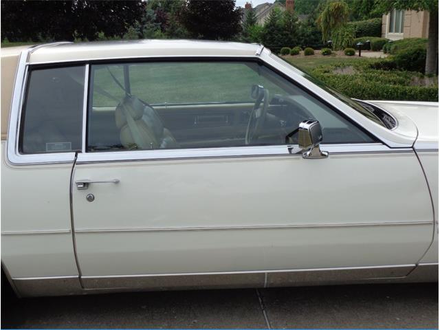 1982 Cadillac Eldorado Biarritz (CC-892457) for sale in Farmington Hills, Michigan