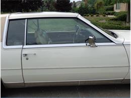 1982 Cadillac Eldorado Biarritz (CC-892457) for sale in Farmington Hills, Michigan