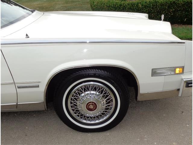 1982 Cadillac Eldorado Biarritz (CC-892457) for sale in Farmington Hills, Michigan