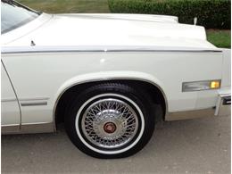 1982 Cadillac Eldorado Biarritz (CC-892457) for sale in Farmington Hills, Michigan