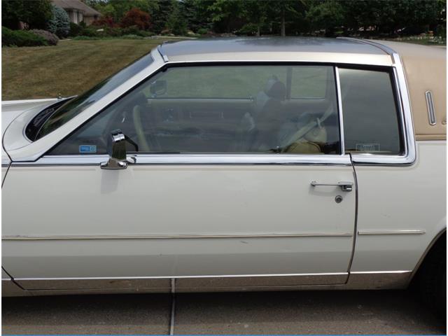 1982 Cadillac Eldorado Biarritz (CC-892457) for sale in Farmington Hills, Michigan